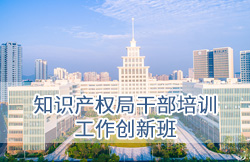 哈尔滨工业大学（深圳）知识产权局干部培训工作创新班